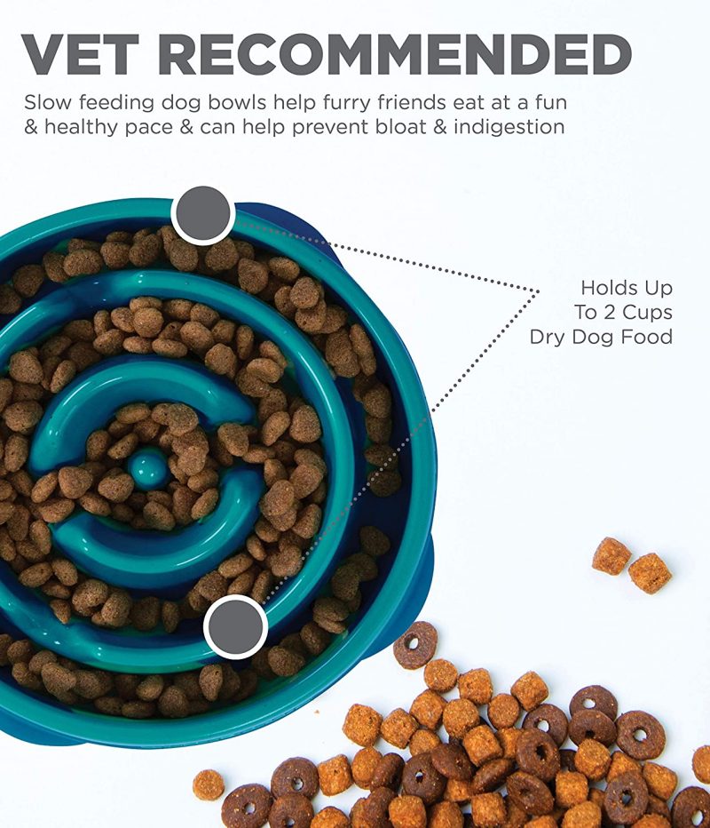 Fun Feeder Slo Bowl - Slow Feeder Dog Bowl
