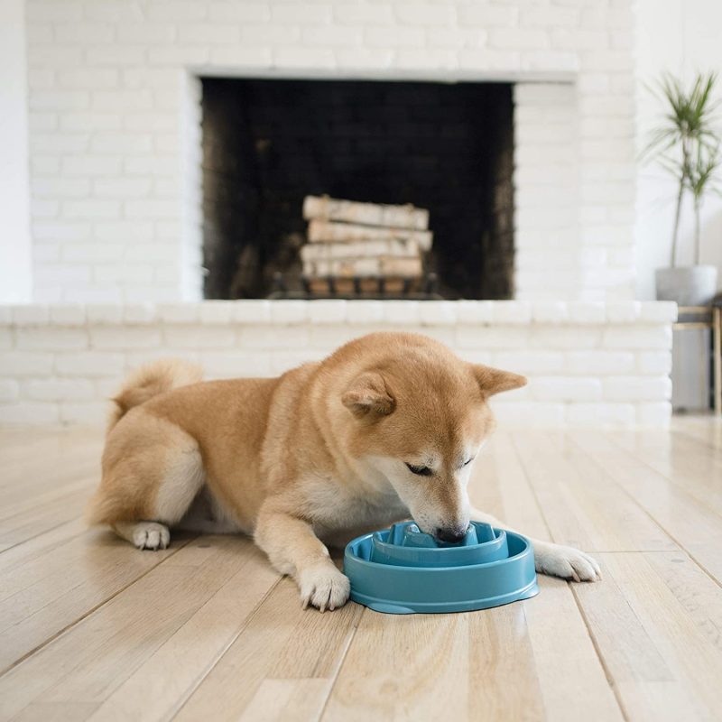 Fun Feeder Slo Bowl - Slow Feeder Dog Bowl