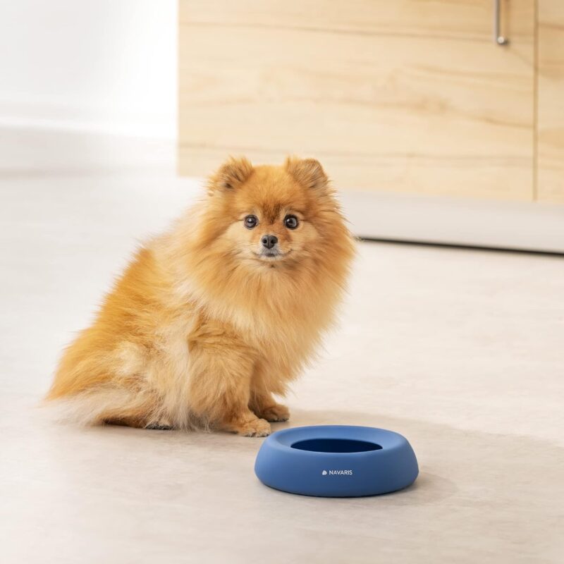 Wet Your Whistle Blue No-Spill Pet Bowl