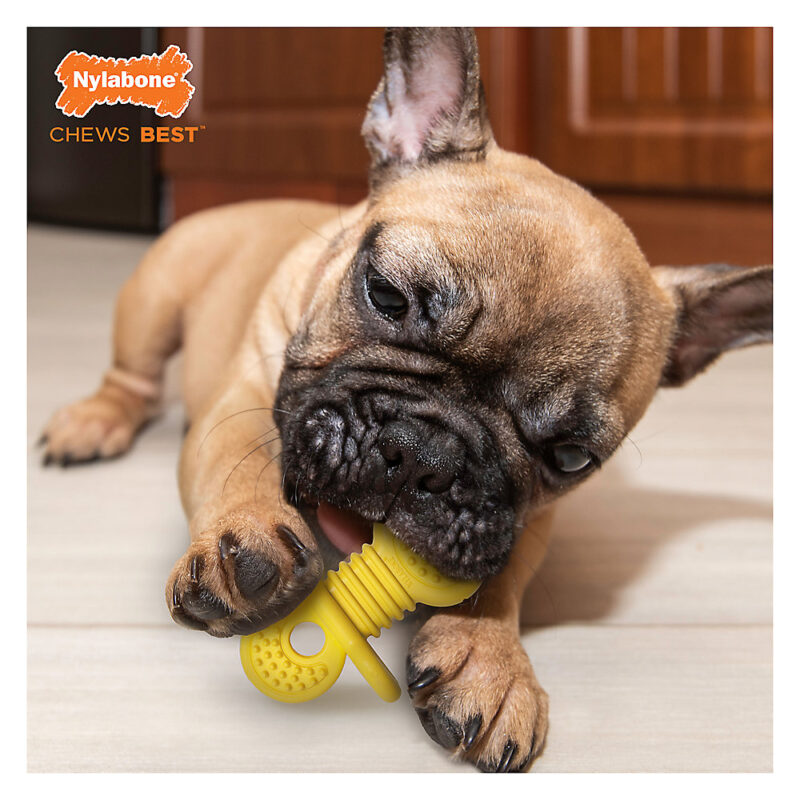 Puppy Chew Rubber Teether Dog Toy