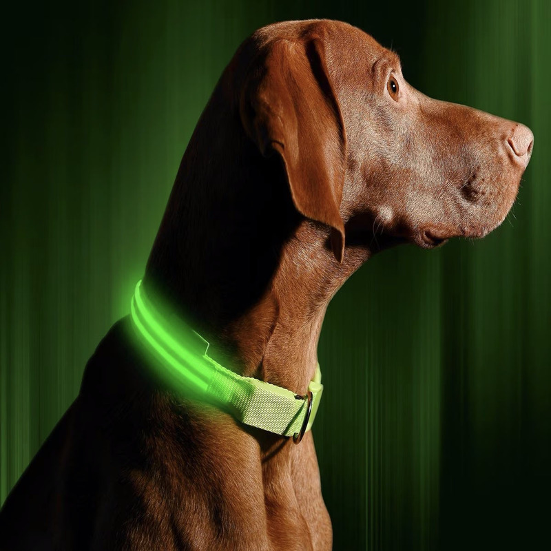 LED USB Rechargeable Nylon Dog Collar - Image 2