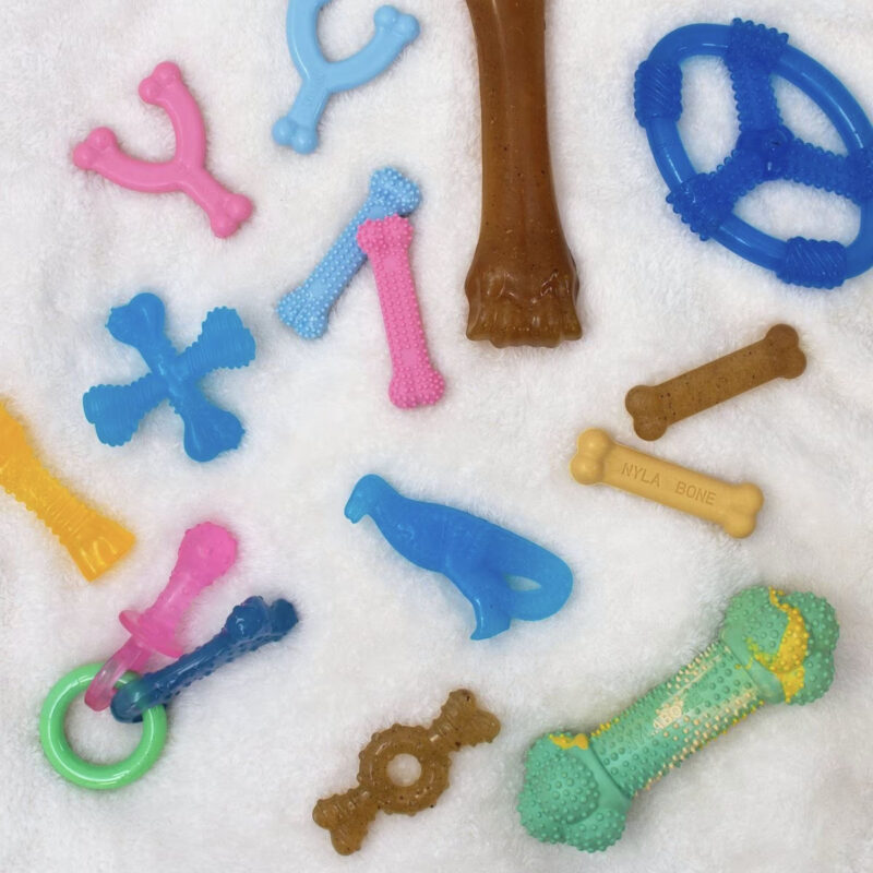 Puppy Pacifier Teething Toy Chew Teething Pacifier Bacon
