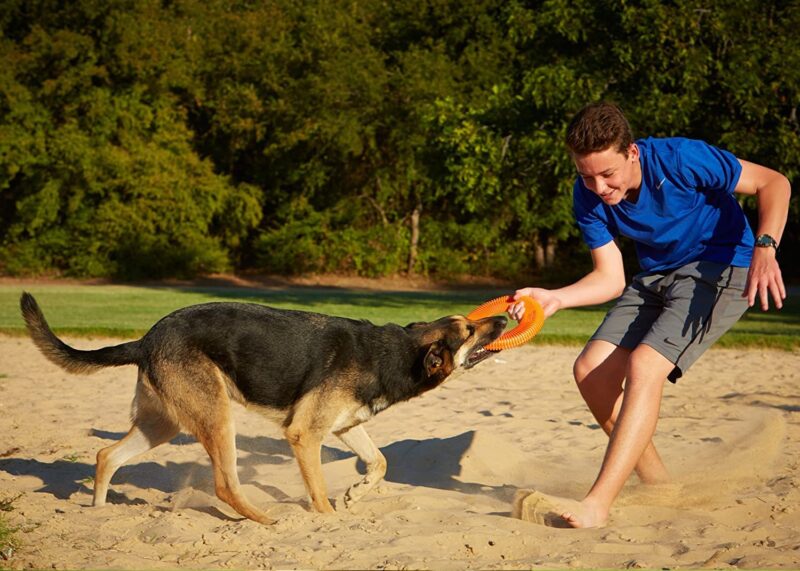 Orange Rugged Flyer Dog Toy