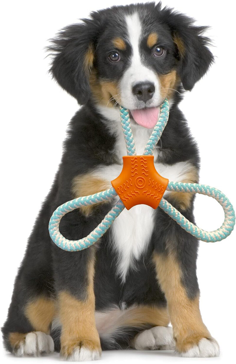 Rope N Chew Dog Toy